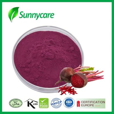 Extracto de remolacha polvo rojo púrpura para la resistencia física y la salud del corazón con nitrato de betaína