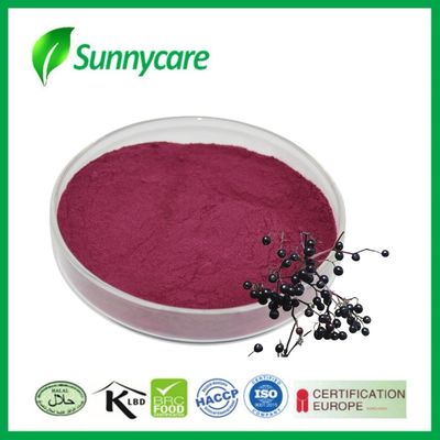 Extracto de morera negra en polvo de Sambucus nigra para inmunidad y vitalidad