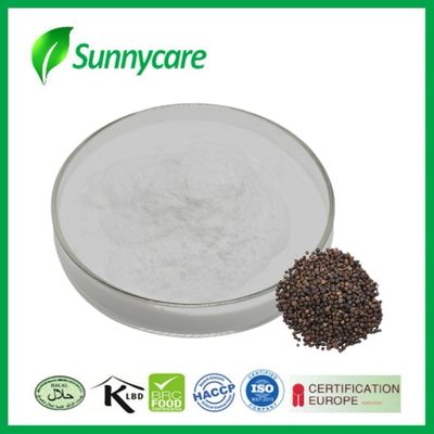 Extracto de pimienta negra Piperina en polvo de polvo blanco fino apoya el metabolismo