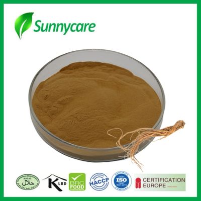 Extracto de Dong Quai en polvo Angelica sinensis Equilibrio hormonal Suplementos alimenticios