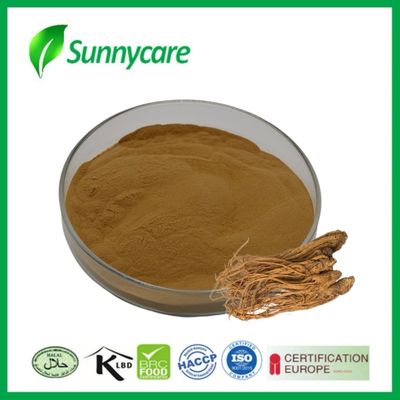 Extracto de Dong Quai Angelica sinensis Aumenta la inmunidad Alimentos funcionales Bebidas energéticas