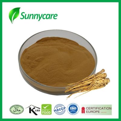 Extracto de Dong Quai en polvo Angelica sinensis Salud del hígado y los riñones Remedios herbales